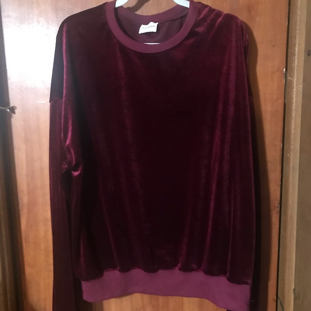 Velvet sweatshirt